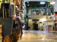 -Feiyue飞跃(长乐路店)