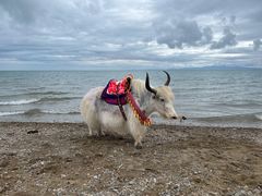 -青海湖国家重点风景名胜区