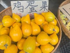 -莫里热带雨林景区