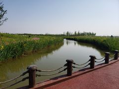 -春花秋色城市公园