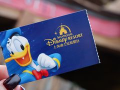 -上海迪士尼度假区