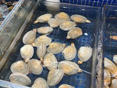 -德天肥牛海鲜火锅(龙吟坊店)