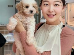 -翊宠yipet猫狗购宠庄园犬舍•猫舍