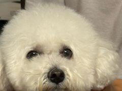 -乖乖宠物医院·猫科·骨科·24小时(云岗分院)