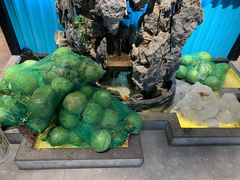 -东椰·海南椰子鸡火锅(朝阳门店)