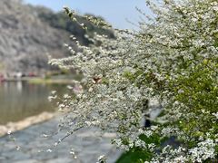 -上海辰山植物园