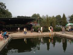 iphone_upload_pic-特种渔场