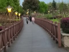 -滨湖塘西河公园