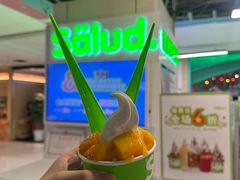 -Salud撒露欧洲冻酸奶(五道口购物中心店)