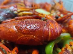 -杨氏青龙虾·羊蝎子(托乐嘉店)
