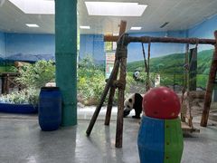 -临沂动植物园