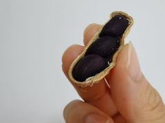 现炒黑花生-盒马鲜生(189购物中心店)