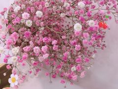 -菌之家·专业纯野生菌火锅·特色炒菌
