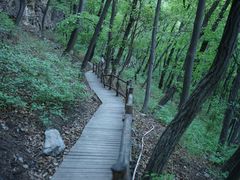 -北京上方山国家森林公园