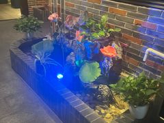 -富侨养生(光大会展店)