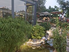 -蘇河湾·新鲁菜·泰山宴(泰山店)