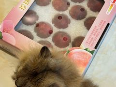 -山姆会员商店(邻瑞广场店)