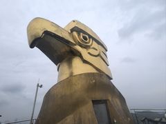 -大金鹰园