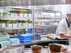 -润园四季椰子鸡火锅(海上世界店)