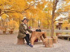 -金塔沙漠胡杨林景区
