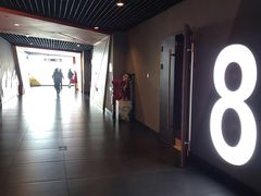 -卢米埃影城(苏州园区华润杜比全景声激光店)