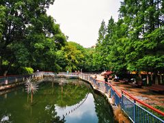 -赭山公园