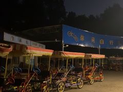 -世纪公园-休闲自行车租赁点