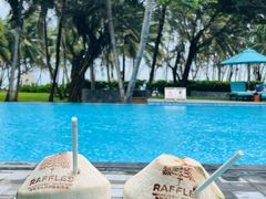 -海南清水湾莱佛士酒店