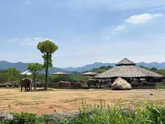 -杭州野生动物世界