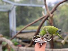 -红山森林动物园