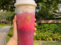 多肉杨梅-喜茶(广州荔湾领展广场店)