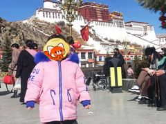 -布达拉宫