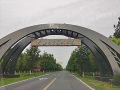 -黄海国家森林公园