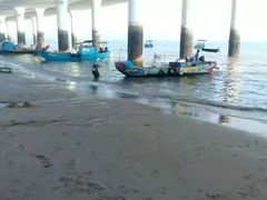 -演武大桥观景平台