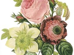 -八哥美术·成人美术画室(总校区)