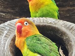 -杭州野生动物世界