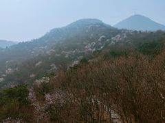 -阳台山自然风景区