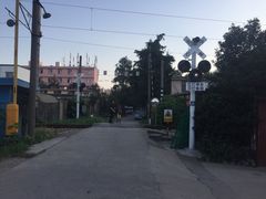 -南翔镇银翔湖公园