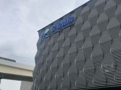 -上海仁爱医院