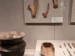 -河南博物院