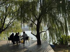 -洋湖国家湿地公园