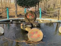 -遇见世外桃源教育农场