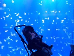 -江和美海洋公园