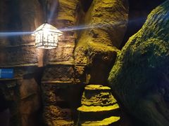 -华夏文旅海洋公园