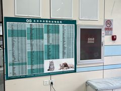 -中农国际动物医院24小时·猫科·骨科·急重症中心