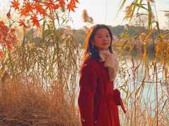 -昆山城市生态森林公园