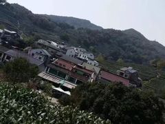 -龙井村