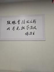 -上海玫瑰医疗美容医院