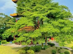 -广州莲花山旅游区