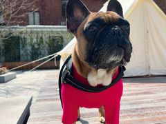 -一尺花园(安和花园店)